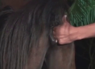 Fucking my lovely horse in doggy style pose