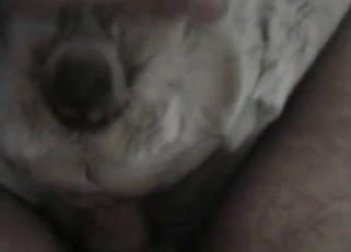 Sexy babe is enjoying her white doggy