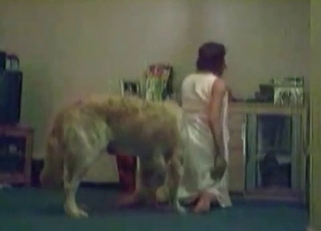 White dog fucked masked wife in the bedroom