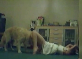 White dog fucked masked wife in the bedroom