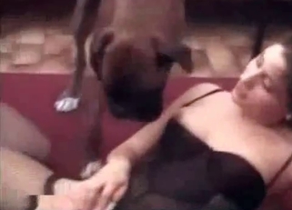 Juicy cunt licked by a doggie
