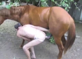 Insane animal horse anal porn bestiality at a farm