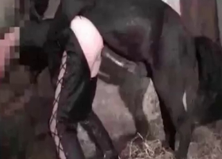 Bestiality video with ass close-ups