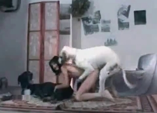 Brunette getting obliterated by a dog