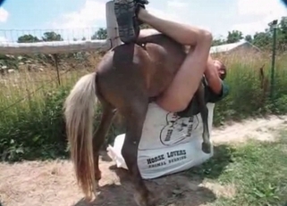 Big-dicked stallion destroying a zoophile