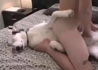 Cute man is fucking his trained doggy on the camera