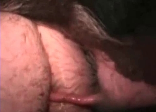 Close-up shots of animalistic sex