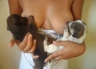 Two sexy animals sucking on her nice tits