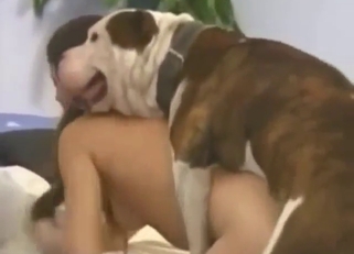 Erotic sex scene with a brunette who fucks dogs