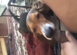 Dog using its mouth to lick this guy's asshole