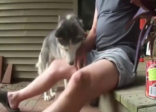 Zoophile guy gets to enjoy a Husky dick licker