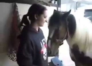 Cleaning horse's nice penis with her hands
