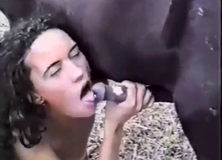 Pretty brunette uses her hands to jack off horse