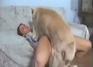 Stunning babe gets fucked by a truly sexy dog