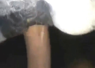 Mare's pussy getting fucked in a POV movie