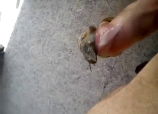 Yet another snail sex scene with a pervy dude
