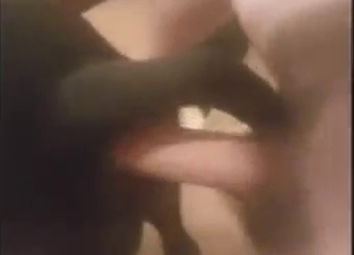 All over for this horny dog, it's ready to cum