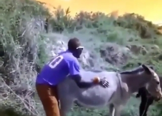 Black guy with a hard dick fucks a sexy donkey