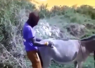 Black guy with a hard dick fucks a sexy donkey