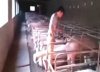 Dude gets lucky by fucking all the beasts