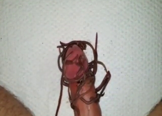 Nothing feels as fulfilling as worms on your dick