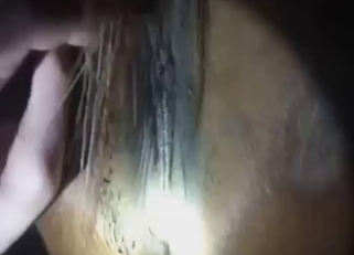 Horse with a wet cunt gets fucked by a guy