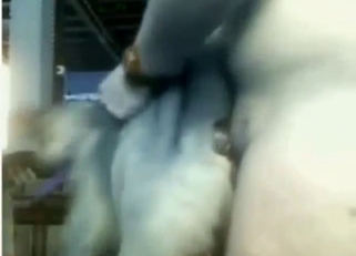 Assfuck for a dog that wants to get ruined
