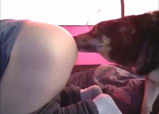 Zoo sex with a tight ass getting licked hard