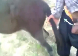 Bald Latino fucker gapes a donkey, zoo XXX
