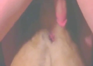 Zoo sex with a guy who fucks a submissive dog