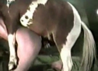 Horse with white spots fucked my friend