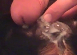 Cumming a huge load of semen on doggy