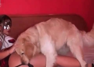 Stunning doggy licks her juicy wet crack