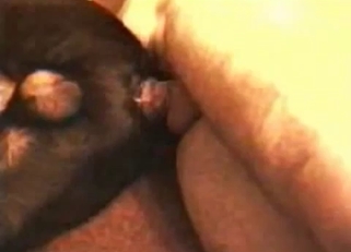 Fucking black ass of my sensual young dog