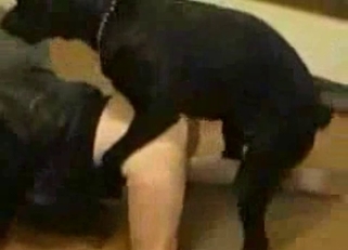 Slender brunette and her big black beast
