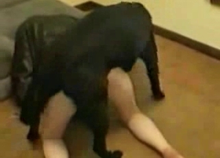 Slender brunette and her big black beast