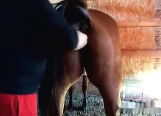Awesome stallion has a very fuckable bottom