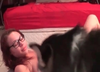 Husky licks her tight crack in homemade XXX