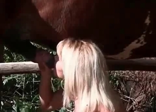 Blonde doll sucks her lovely stallion