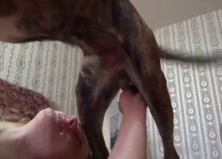 Playful doggy has a very massive dick