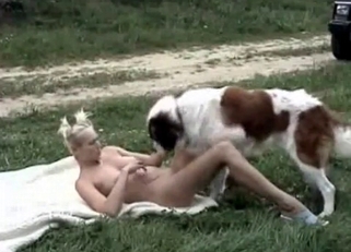 Playful doggy and sext amateur chick