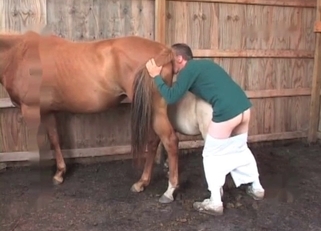 Farm animals are looking very passionate