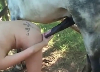Tattooed hottie penetrated by her nice horse