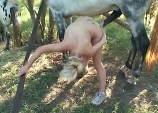 Tattooed hottie penetrated by her nice horse