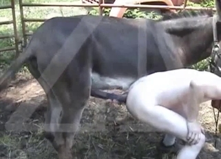 Big black pony fucks his tight anal hole