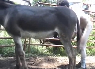 Big black pony fucks his tight anal hole