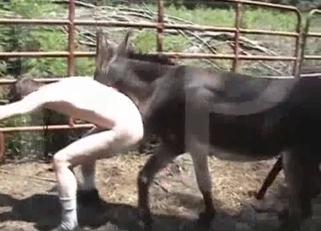 Big black pony fucks his tight anal hole