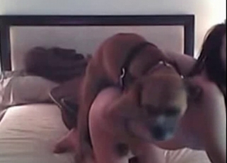 Young babe with big ass enjoys bestiality XXX