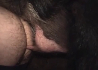 Pointy animal dick fills out a tight hole