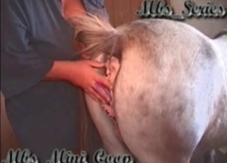Filthy farmer licks his stallion ass